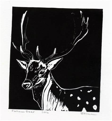 Delicate Linocut Of A Fallow Deer Linocut Woodcut Art Woodcuts Prints