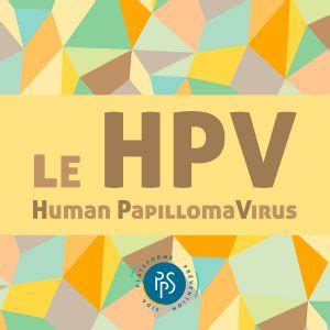 Brochure Le HPV Plate Forme Prévention Sida