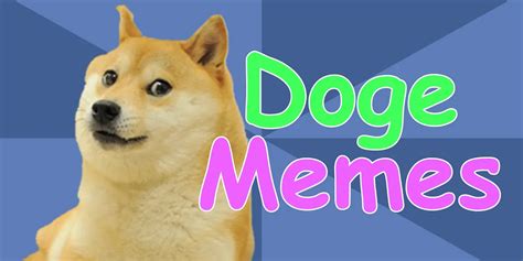 Doge Memes A Complete History Of Shiba Inu Inspired Memes