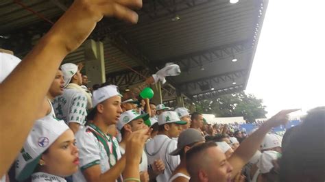 Copinha Palmeiras X Sampaio Correa Youtube