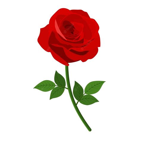 Premium Vector Red Roses Icon