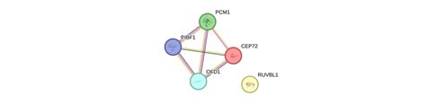 OFD1 Gene - GeneCards | OFD1 Protein | OFD1 Antibody