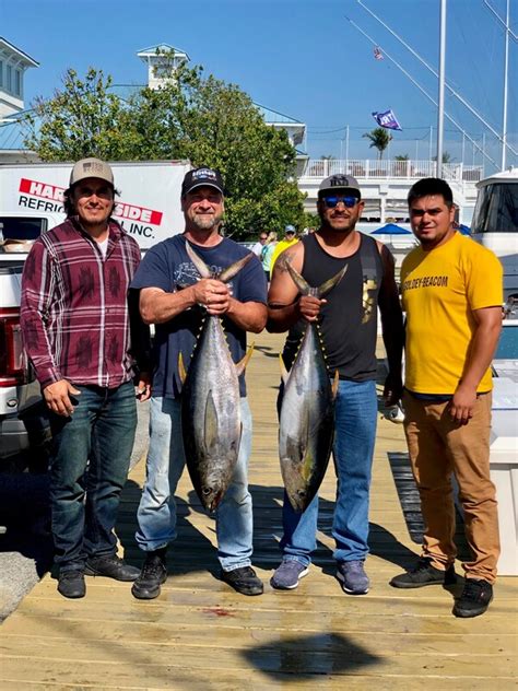 Ocean City Fishing Report