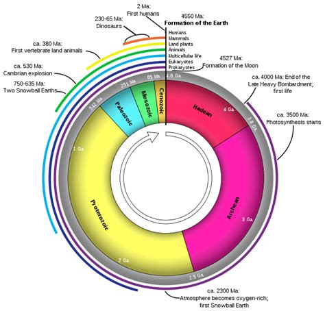 The Geologic Time Scale Eras