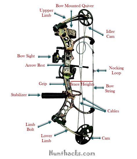 Cool Compound Bow Accessories