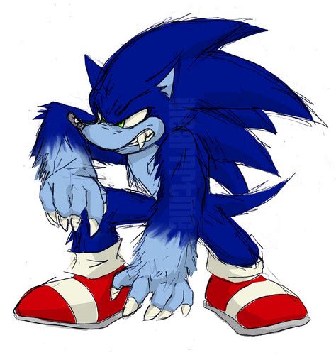 Sonic The Werehog