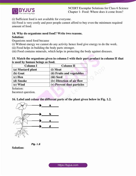 Ncert Exemplar Solutions For Class Science Chapter Food Where