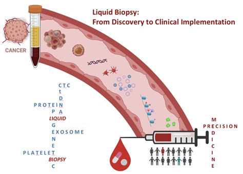 Liquid Biopsy For Cancer Diagnosis And Monitoring Febs Network