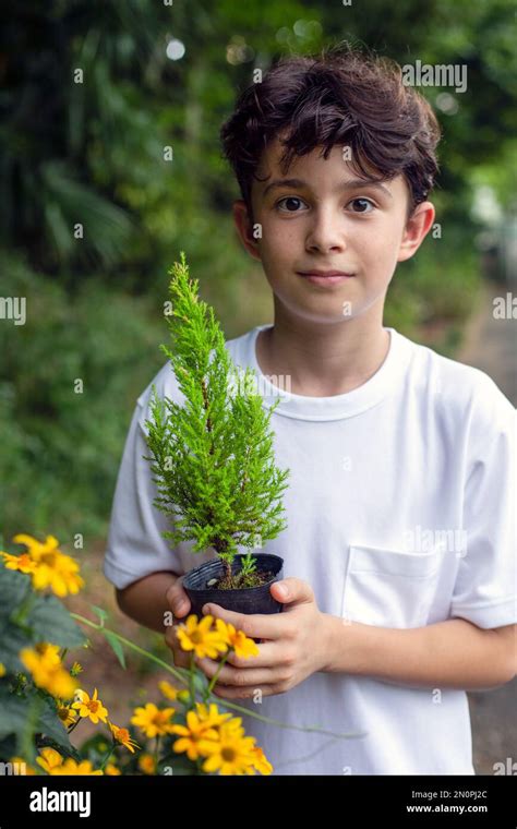 A Boy Holding A Small Tree Sapling In A Pot Standing In A Garden Stock