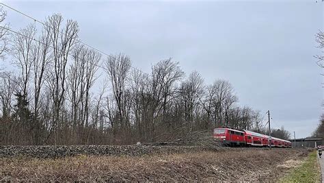 Landkreis Freising Baum stürzt auf Gleise 67 Passagiere müssen im