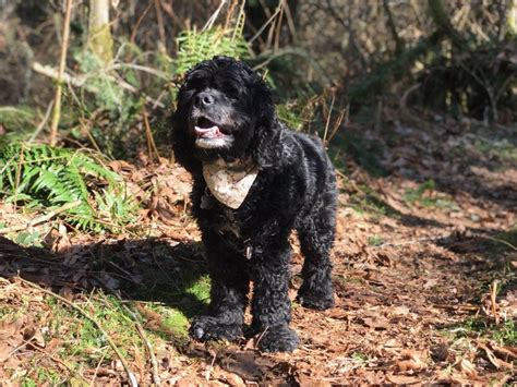 Best Sunny Afternoon Images On Pholder Cozy Places Earth Porn