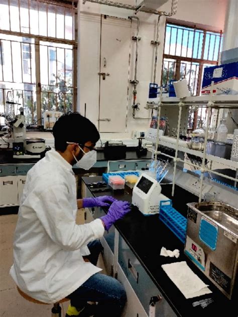 Iisc Researchers Develop Paper Discs That Can Pick Up Hydrogen Peroxide