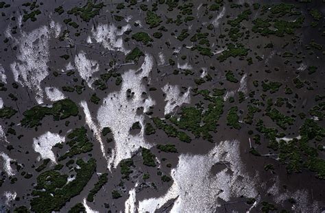 Aerial Of Texas Coastline Photograph by Arthur Meyerson - Fine Art America