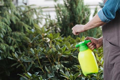 Comment Bien Choisir Son Pulv Risateur De Jardin