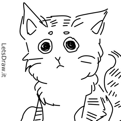 How To Draw Kitten Himznd Ex Png Letsdrawit