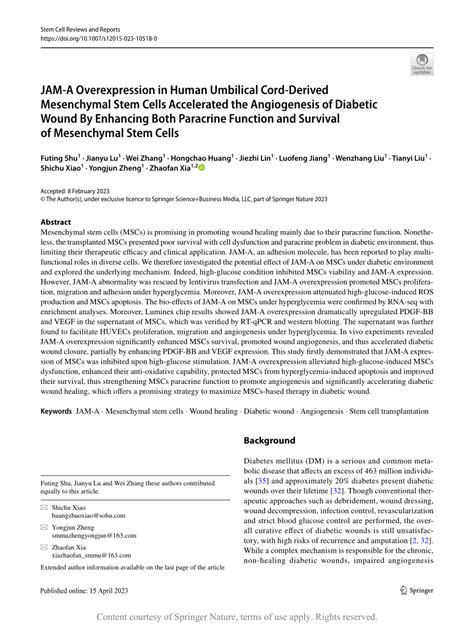 Jam A Overexpression In Human Umbilical Cord Derived Mesenchymal Stem