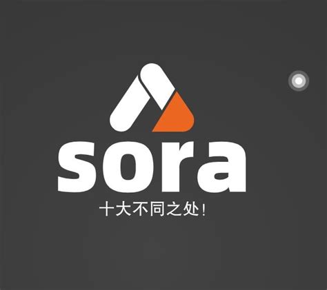 Openai发布文生视频模型sora 2024年文生视频行业全景洞察报告 Agi来临 Sora的十大不同之处！ 知乎