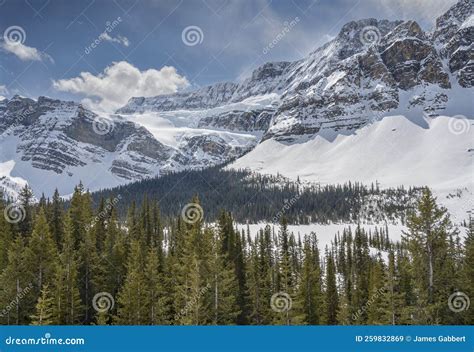 Crowfoot Glacier Above the Bow River Stock Image - Image of forest, park: 259832869