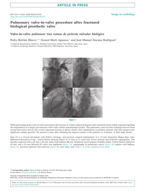 Pdf Pulmonary Valve In Valve Procedure After Fractured Biological