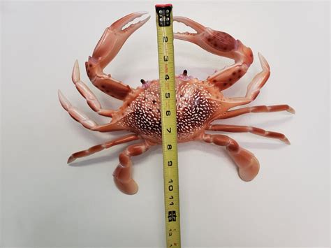 Northern California Crab Mount Replicas Bloodydecks