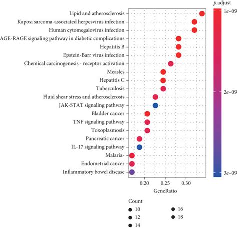 The Kegg Pathway Enrichment Note The X Axis Is The Enrichment Gene Download Scientific