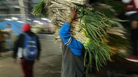 Mercados De Quito Abiertos Y Abastecidos Quito Informa