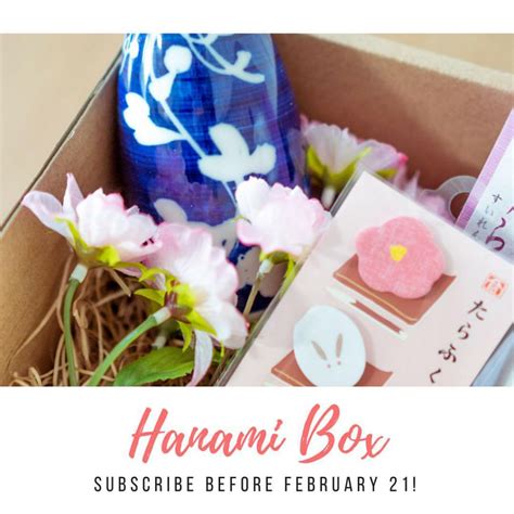 Neko Box Japanese Subscription Box Review - Super Cute Kawaii!!