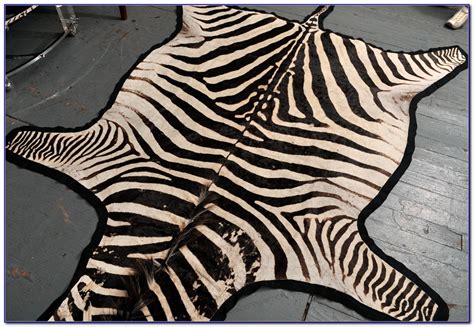 Zebra Skin Rug Australia - Rugs : Home Design Ideas #xwk23wR1p7