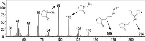 GC MS Total Fragment Ions Of APP C O OEt Carbamate EI Ionization Mode