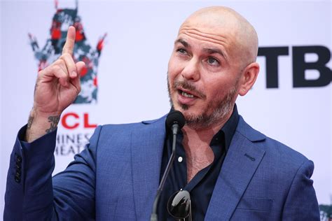 Qu Fue De Pitbull El Cantante Que Creci Rodeado De La Hero Na Y