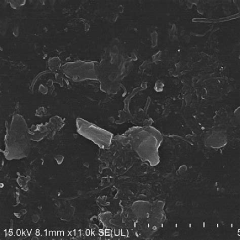 Stress Strain Plots For Pumwcnt Composites Under Compressive Loading