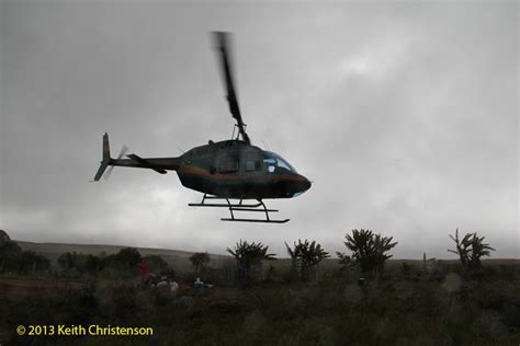 Helicopter travel in Venezuela - tropicalbats.com