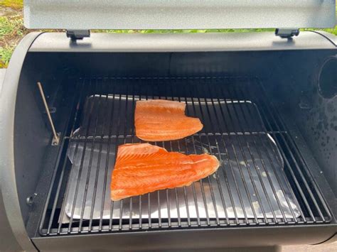 Traeger Smoked Trout Salmon Recipe Easy And Delicious