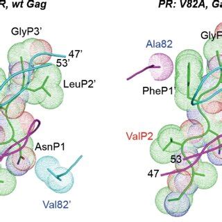 Frequently Observed Mutations At The Nc Sp P Cleavage Sites A Gag