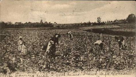 Vintage Greenville Postcards From The Past