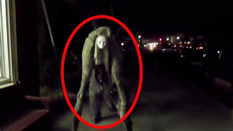 5 Mysterious Creatures Caught On Camera And Spotted In Real Life Weird