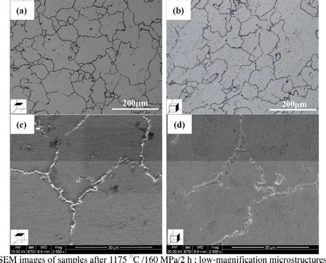 Figure 5 From Effects Of Hot Isostatic Pressing On Microstructure And