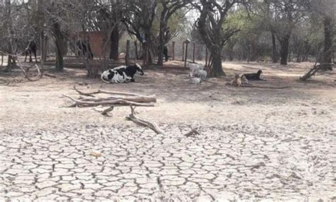 Declaran Emergencia Agropecuaria En Salta Por La Importante Sequía