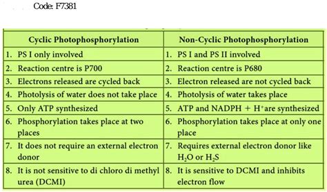 What is the difference between cyclic and non cyclic photophosphorylation