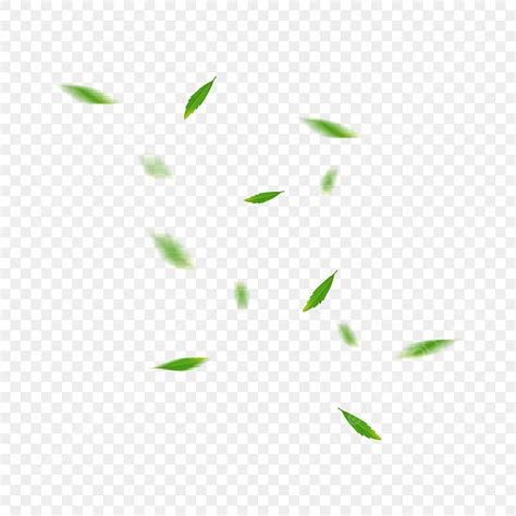 Falling Green Leaves Png Picture Cartoon Green Thin Leaves Fall