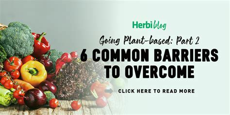 Need Help Eating Plant Based See Inside Herbidoor