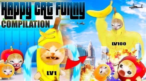 HAPPY CAT COMPILATION FULL EPISODE 1 - 65 | HAPPY CAT FUNNY - YouTube