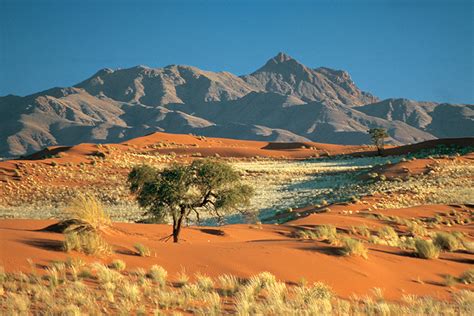 Périple au coeur des terres africaines Namibie Botswana Zimbabwe