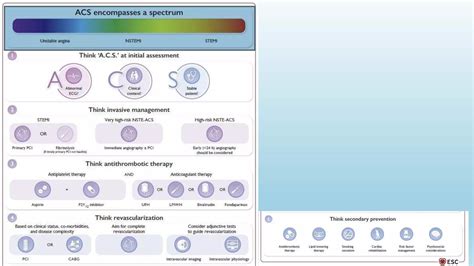 2023 Esc Guidelines Acs Copy Pptx