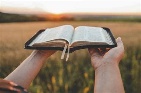 Biblia Abierta En Las Manos Puesta De Sol En El Campo De Trigo Concepto