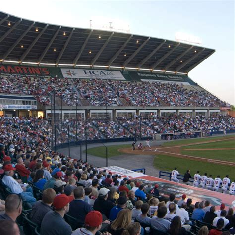 Flying Squirrels Baseball