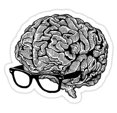 Sticker Cerveau Avec Des Lunettes Par Zugart Autocollants