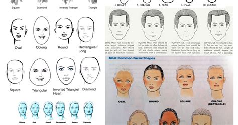 Aryan Anthropology: How many face shapes are there?