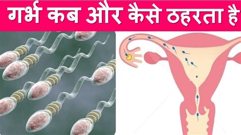 पीरियड्स के कितने दिन बाद महिला प्रेग्नेंट हो सकती हैconception