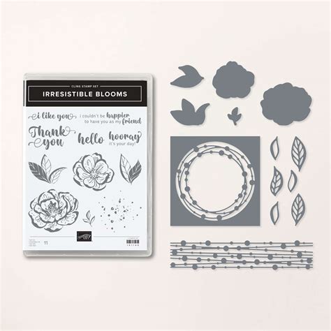 Lot De Tampons Et De Poin Ons Irresistible Blooms De Stampin Up